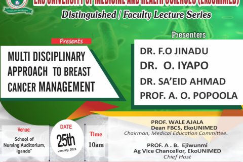 Distinguished Faculty Lecture Series
